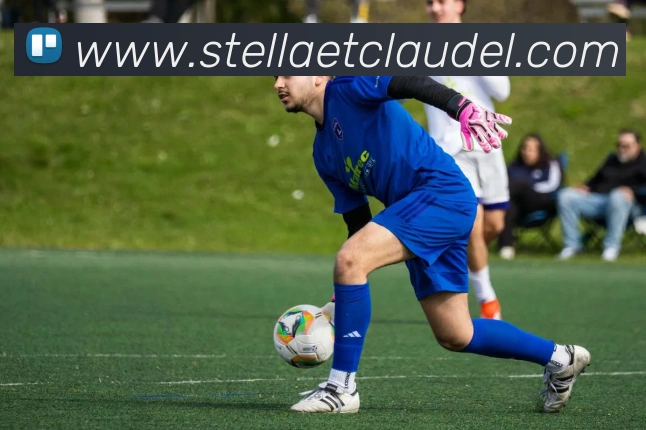 c7体育平台登陆平台生态图